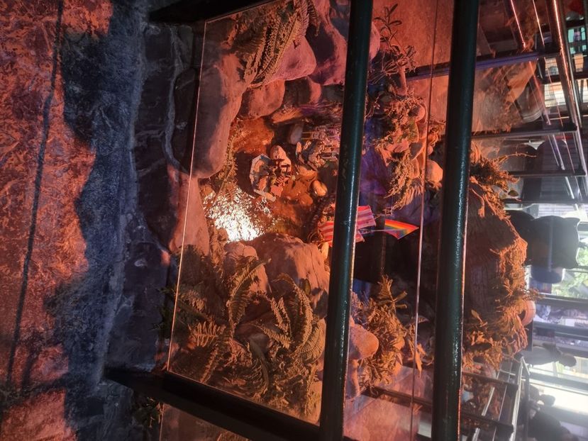  - SEALIFE BIRMINGHAM UK - 15 FEB 2025