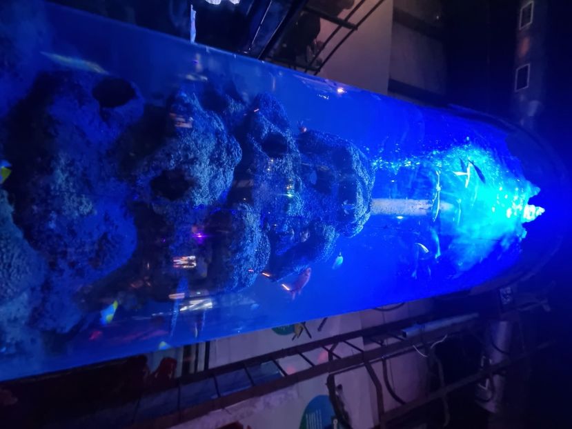  - SEALIFE BIRMINGHAM UK - 15 FEB 2025