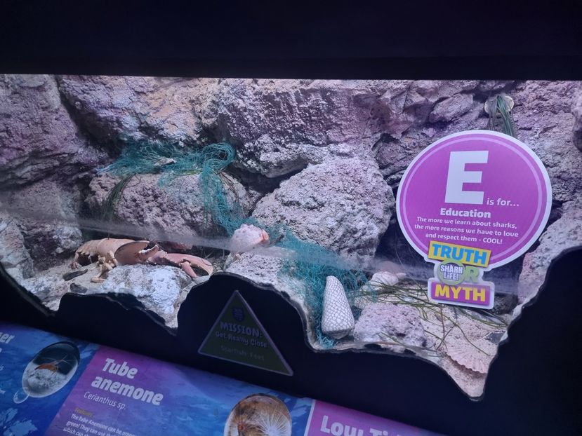  - SEALIFE BIRMINGHAM UK - 15 FEB 2025