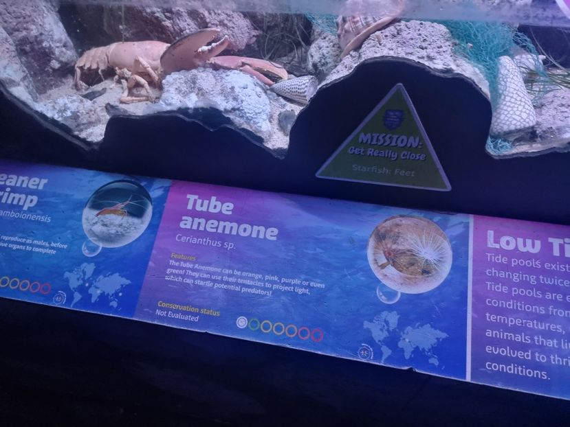  - SEALIFE BIRMINGHAM UK - 15 FEB 2025