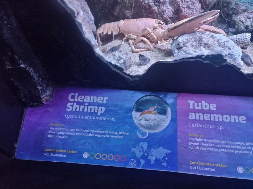  - SEALIFE BIRMINGHAM UK - 15 FEB 2025