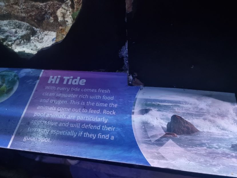  - SEALIFE BIRMINGHAM UK - 15 FEB 2025