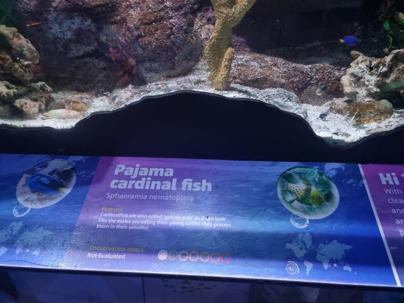  - SEALIFE BIRMINGHAM UK - 15 FEB 2025