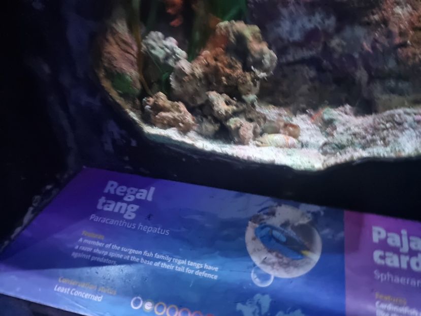  - SEALIFE BIRMINGHAM UK - 15 FEB 2025
