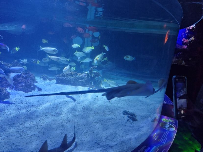  - SEALIFE BIRMINGHAM UK - 15 FEB 2025