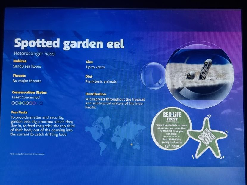  - SEALIFE BIRMINGHAM UK - 15 FEB 2025