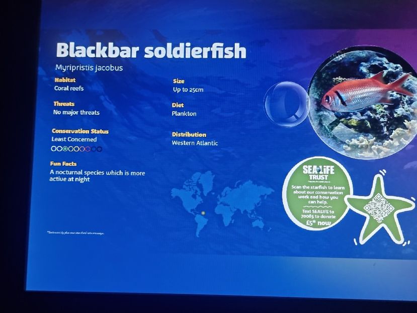  - SEALIFE BIRMINGHAM UK - 15 FEB 2025