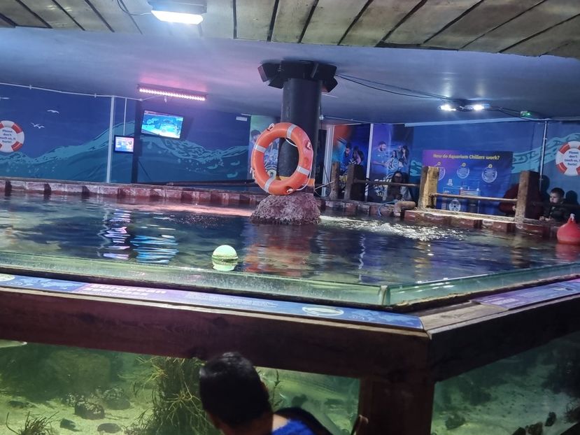  - SEALIFE BIRMINGHAM UK - 15 FEB 2025