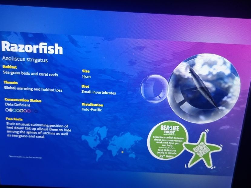  - SEALIFE BIRMINGHAM UK - 15 FEB 2025