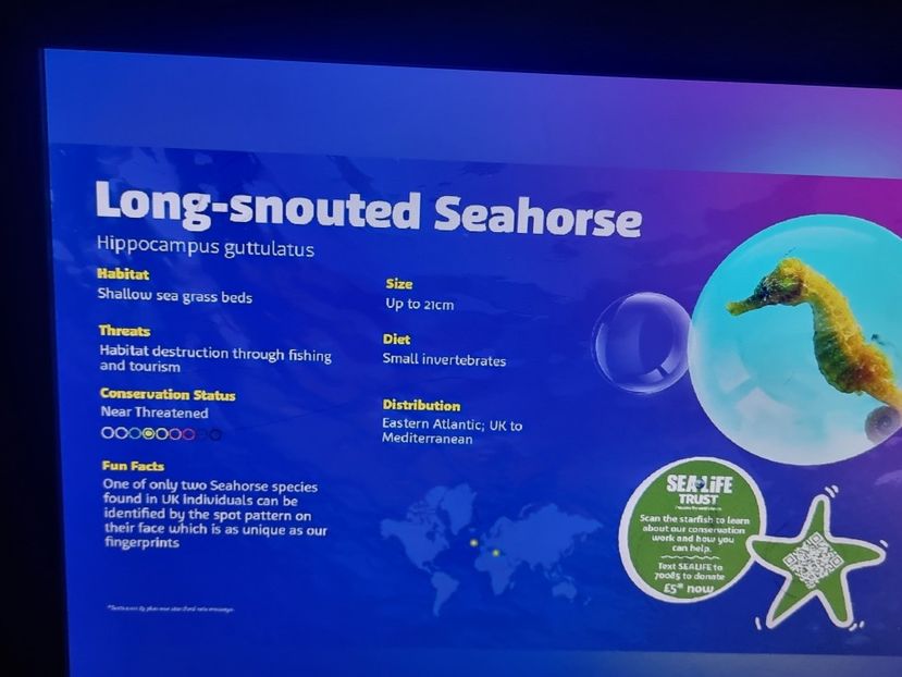  - SEALIFE BIRMINGHAM UK - 15 FEB 2025