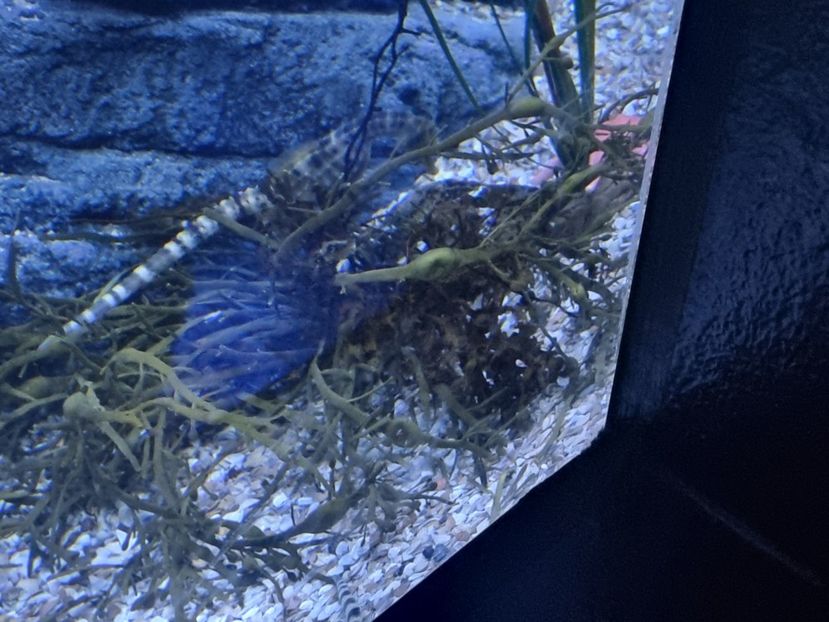  - SEALIFE BIRMINGHAM UK - 15 FEB 2025