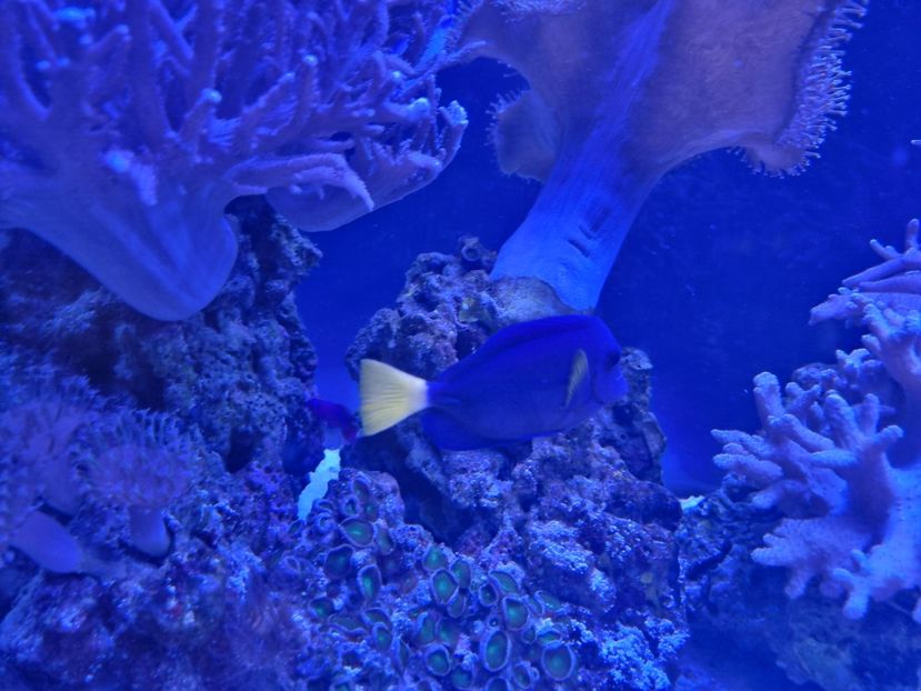 - SEALIFE BIRMINGHAM UK - 15 FEB 2025