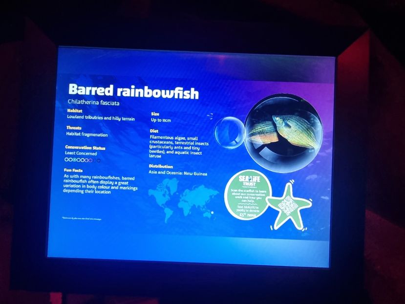  - SEALIFE BIRMINGHAM UK - 15 FEB 2025