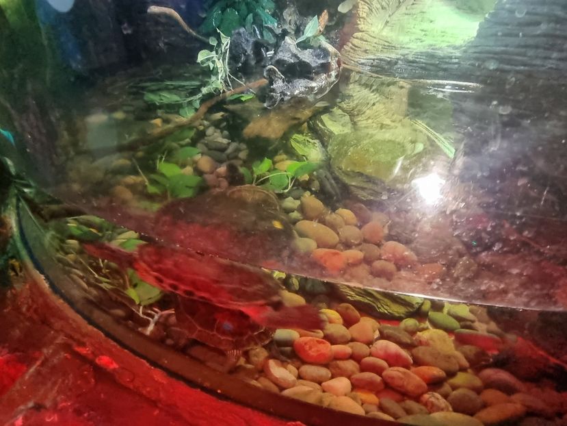  - SEALIFE BIRMINGHAM UK - 15 FEB 2025