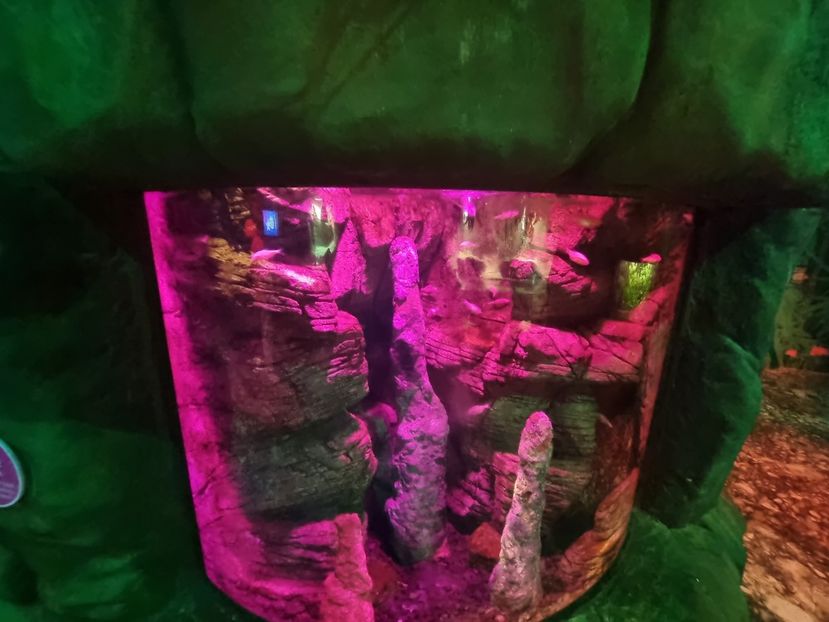  - SEALIFE BIRMINGHAM UK - 15 FEB 2025