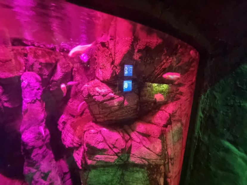  - SEALIFE BIRMINGHAM UK - 15 FEB 2025