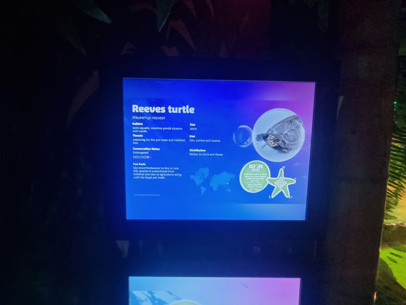  - SEALIFE BIRMINGHAM UK - 15 FEB 2025