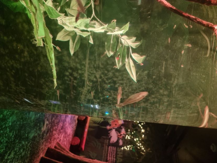  - SEALIFE BIRMINGHAM UK - 15 FEB 2025