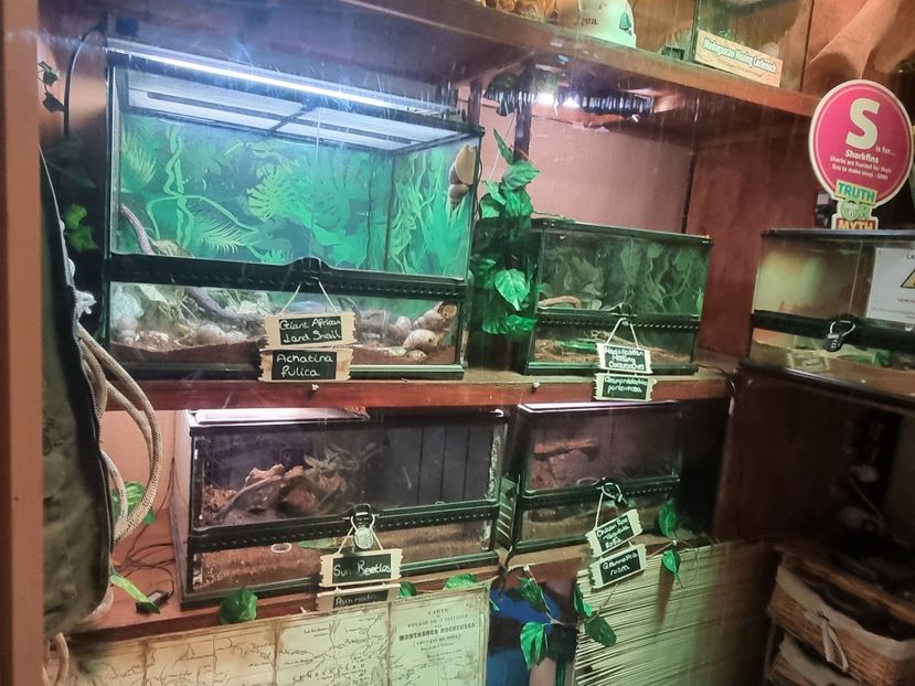  - SEALIFE BIRMINGHAM UK - 15 FEB 2025