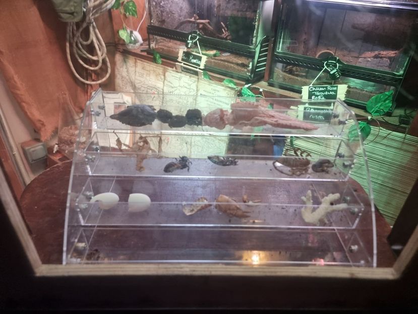  - SEALIFE BIRMINGHAM UK - 15 FEB 2025