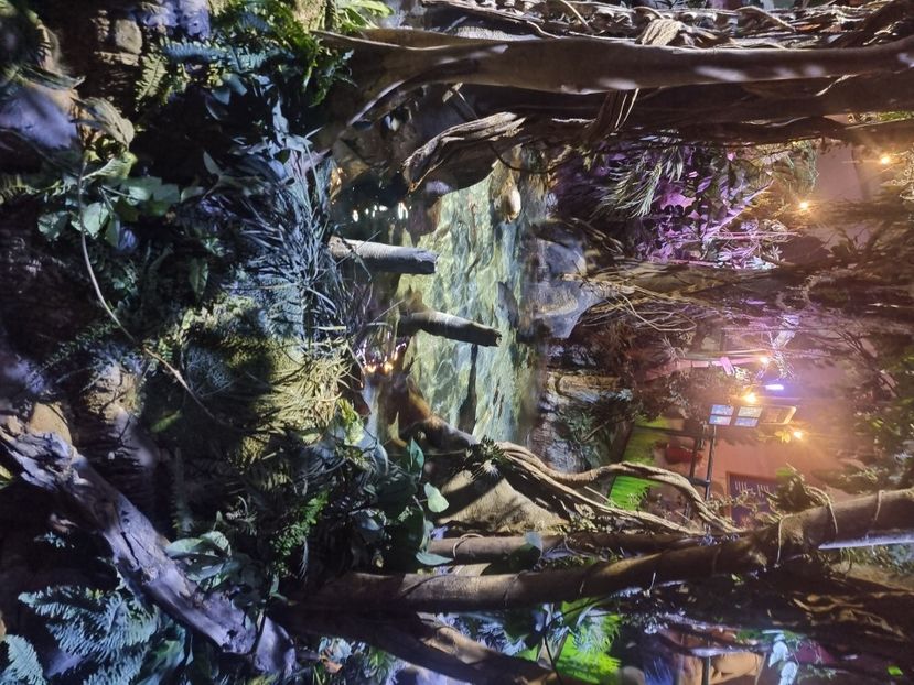  - SEALIFE BIRMINGHAM UK - 15 FEB 2025