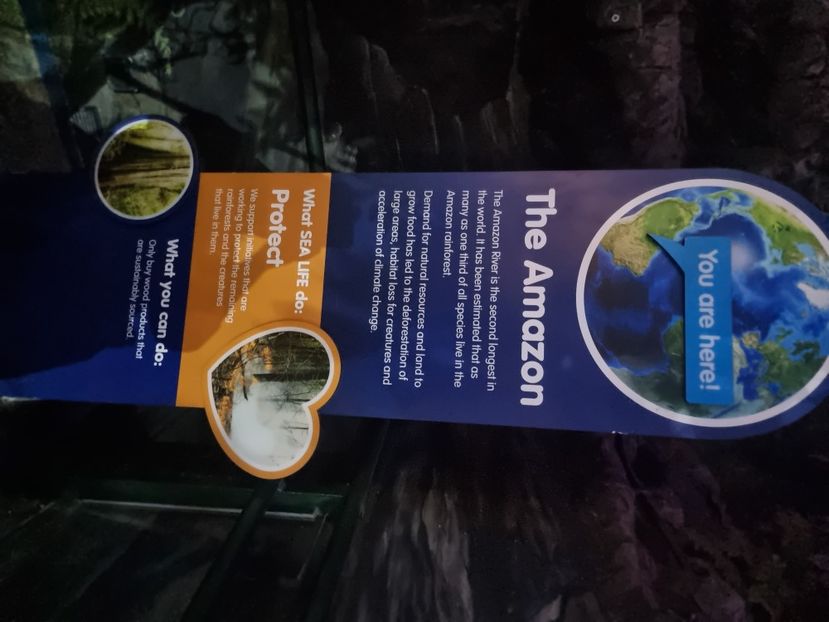  - SEALIFE BIRMINGHAM UK - 15 FEB 2025