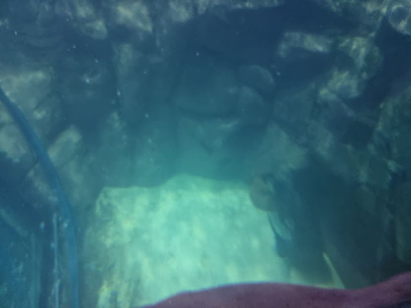  - SEALIFE BIRMINGHAM UK - 15 FEB 2025