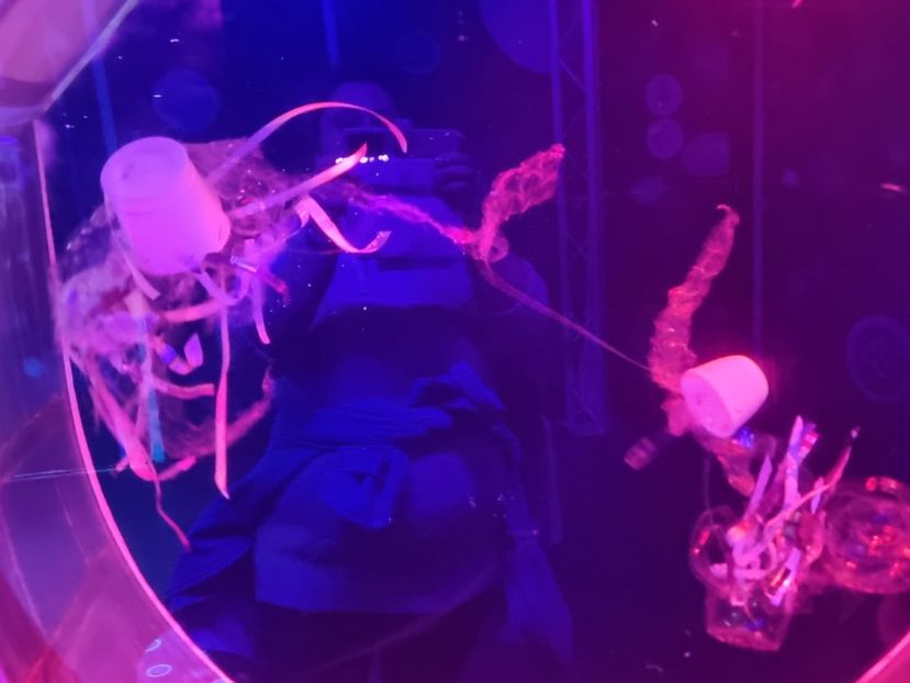  - SEALIFE BIRMINGHAM UK - 15 FEB 2025