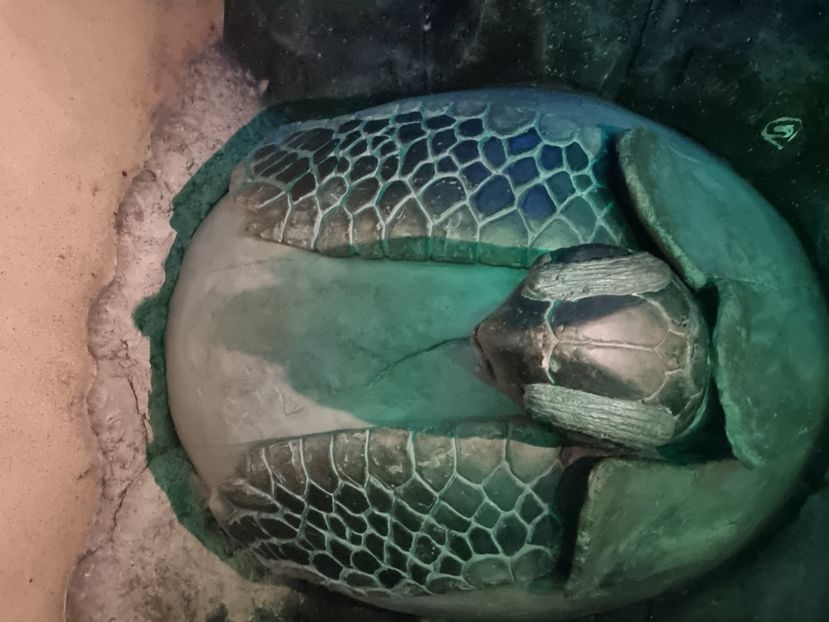  - SEALIFE BIRMINGHAM UK - 15 FEB 2025