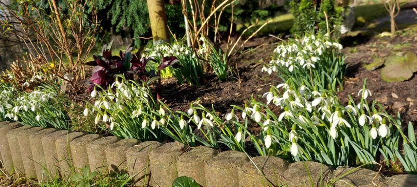 23. februarie, +13°C - 2024 - 04 - 2025 - 00 - Iarna