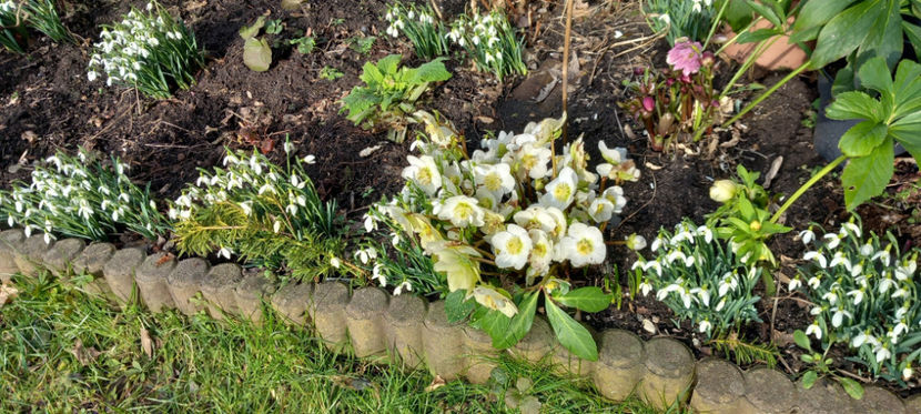  - 2024 - 04 - 2025 - 00 - Iarna