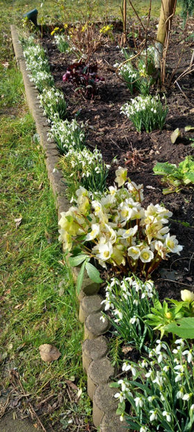  - 2024 - 04 - 2025 - 00 - Iarna