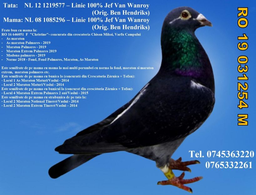 RO 19 031254 M Pret 350 Lei + transportul - ARHIVA