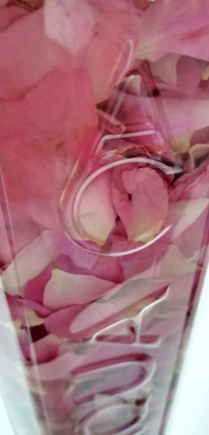  - -TRANDAFIRI DE DULCEATA