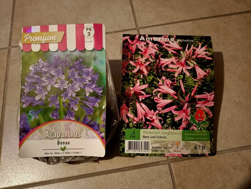 Img.2025.02.24 - 1 Achiziție nouă