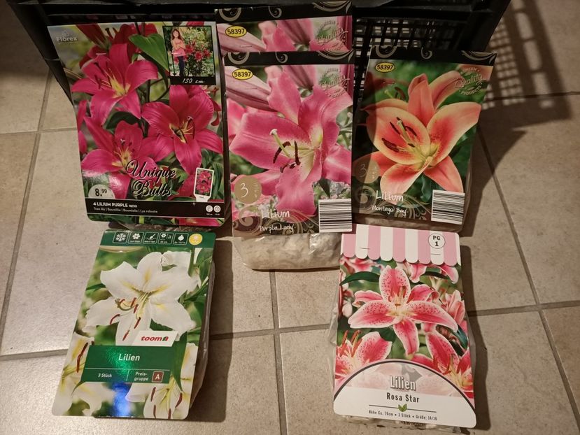 Img.2025.02.24 - 1 Achiziție nouă