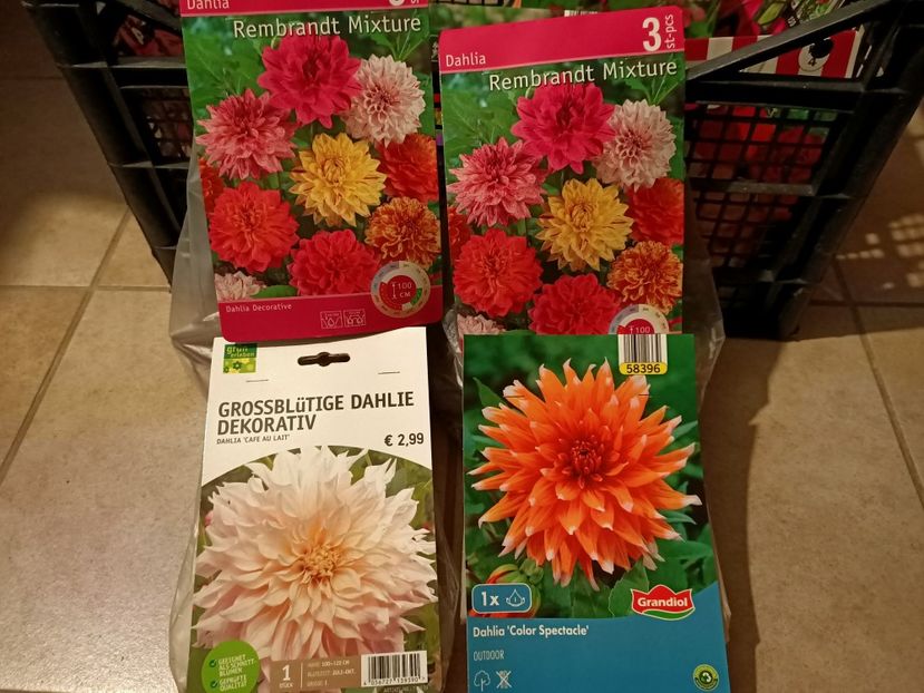 Img.2025.02.24 - 1 Achiziție nouă