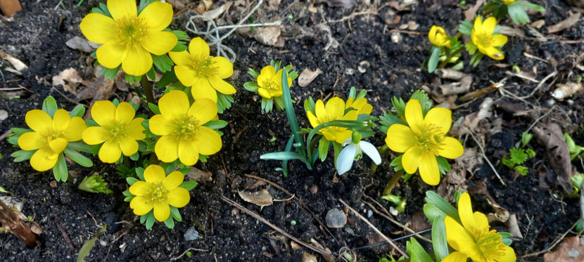  - 2024 - 04 - 2025 - 00 - Iarna