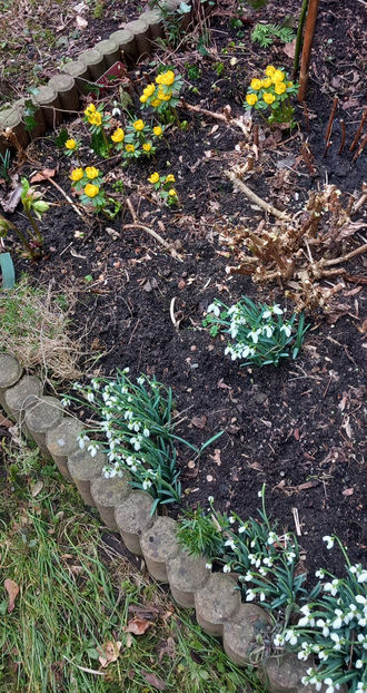  - 2024 - 04 - 2025 - 00 - Iarna