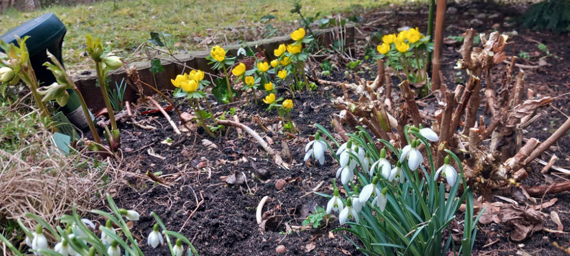  - 2024 - 04 - 2025 - 00 - Iarna