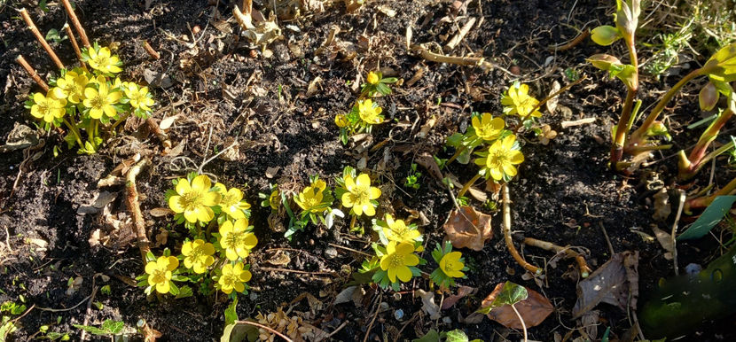  - 2024 - 04 - 2025 - 00 - Iarna