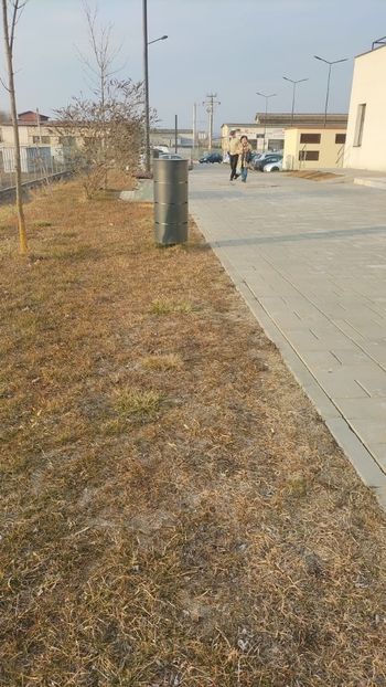 Imagine WhatsApp 2025-02-26 la 16.51.21_1fe466f7 - 2025 Ocna Mureș 26 febr