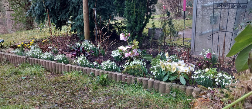  - 2024 - 04 - 2025 - 00 - Iarna