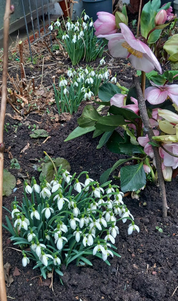  - 2024 - 04 - 2025 - 00 - Iarna