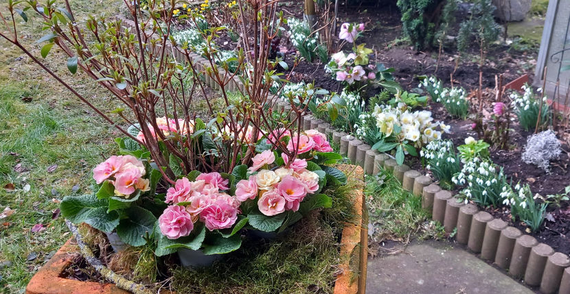  - 2024 - 04 - 2025 - 00 - Iarna