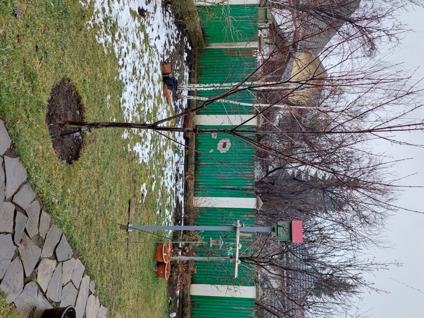 Ultimile petice de zăpadă - 2025 ian feb martie