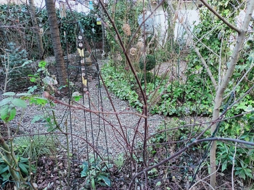 27.02.2025 - Grădina 2025