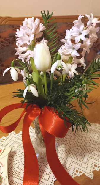  - 2024 - 04 - 2025 - 00 - Iarna