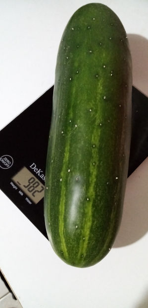  - -CASTRAVETI - MARCHETMORE