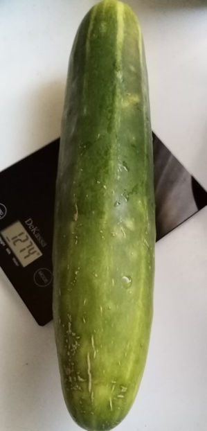  - -CASTRAVETI - MARCHETMORE